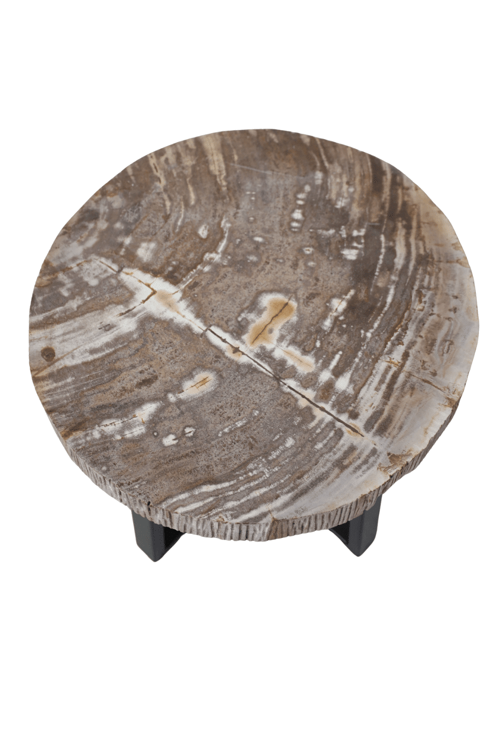 Versteend houten salontafel set van 2 beige fossile salontafels