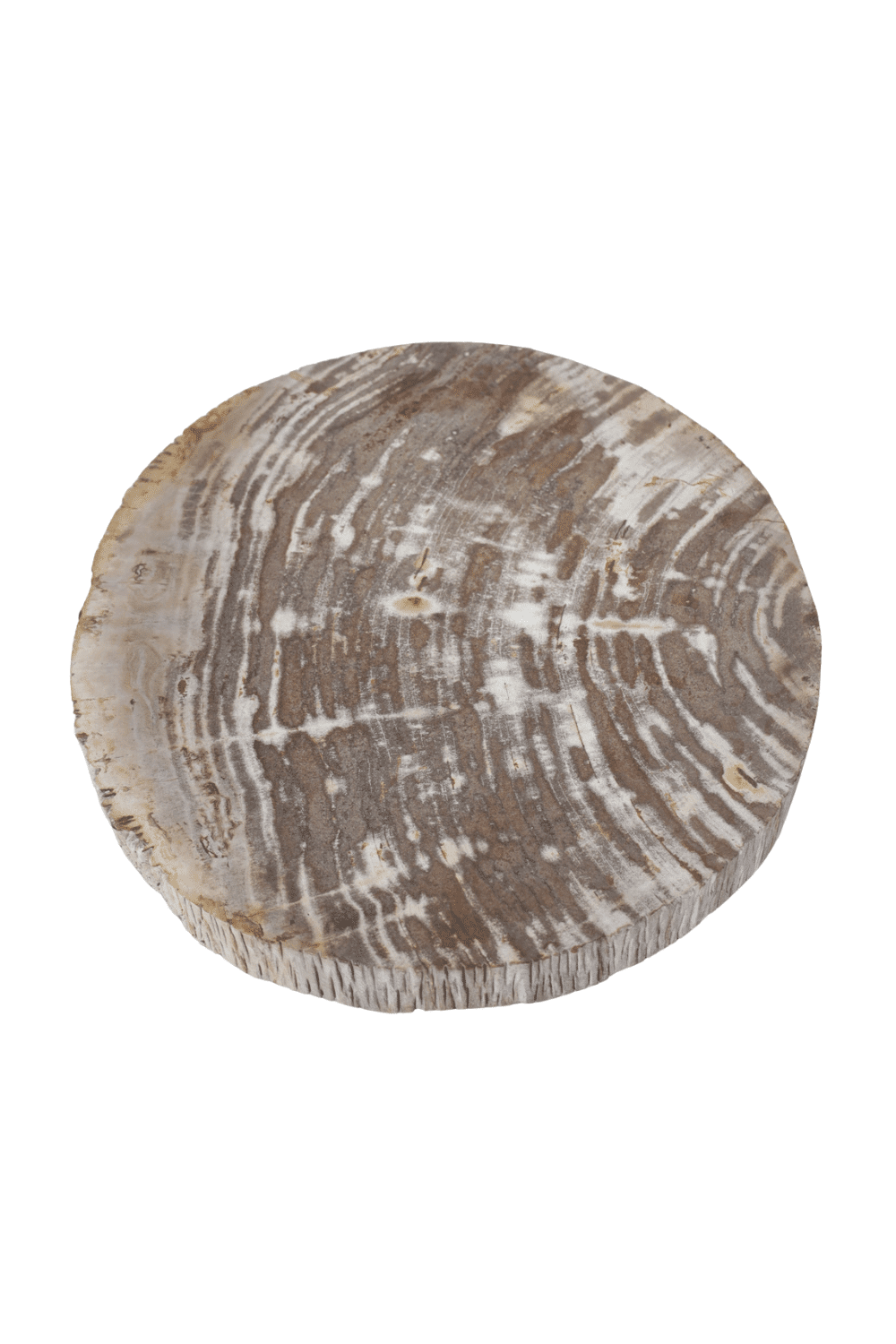 Versteend houten salontafel set van 2 beige fossile salontafels