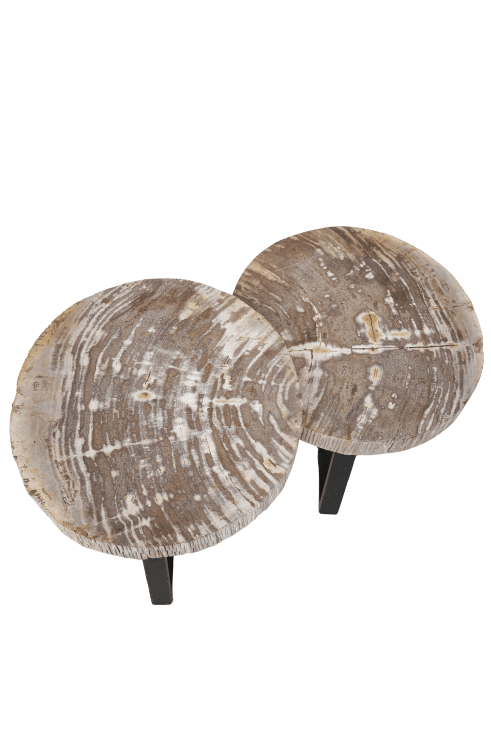 Versteend houten salontafel set van 2 beige fossile salontafels