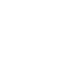 Icon Expertise