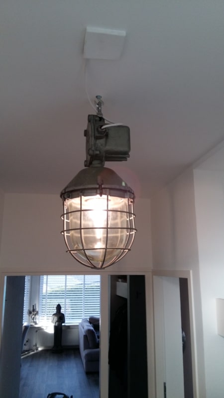 Industrial cage lamp