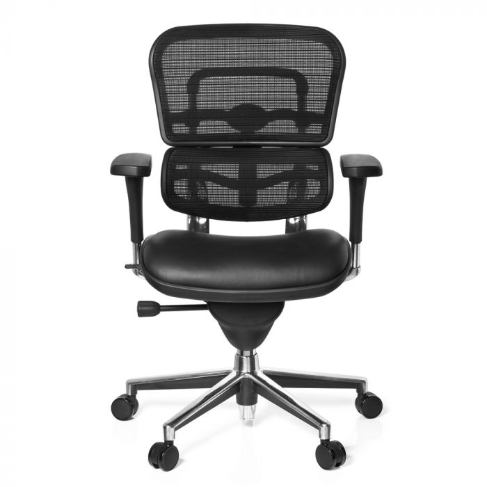 Ergohuman Base One Leer Mesh 3 Ergohuman Base One Leer Mesh 3
