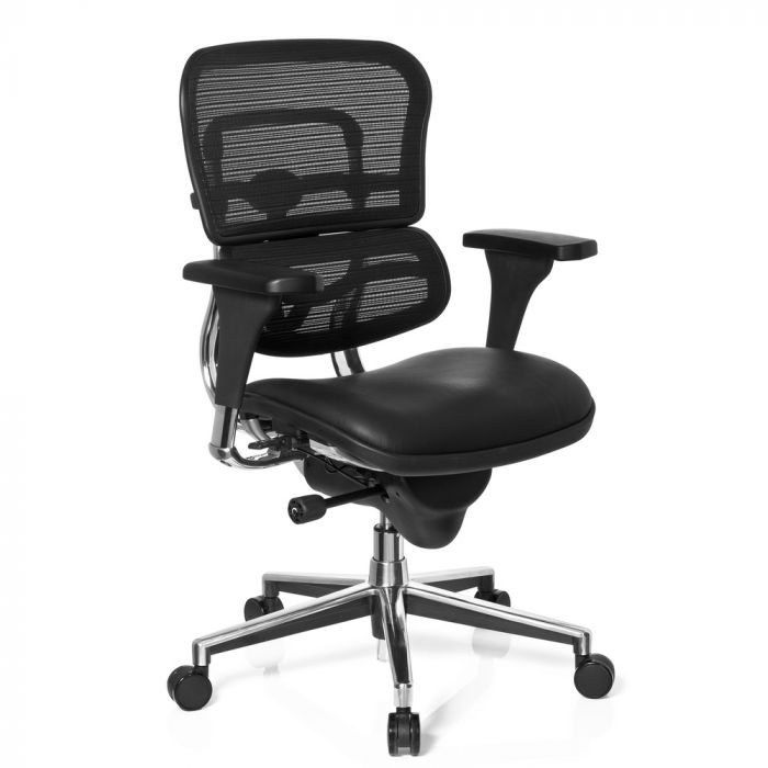Ergohuman Base One Leer Mesh 2 Ergohuman Base One Leer Mesh 2