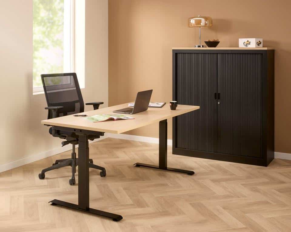 Huislijn Zit Sta Bureau Basic Elektrisch Verstelbaar Met 2 Motoren Memory Display Amp 2 Usb Poorten 160 215 80 Cm 8 Bladkleuren