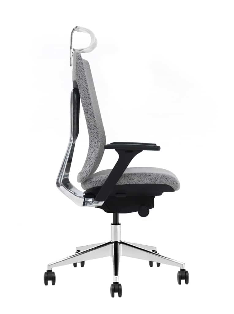 Ergolux Pro Ergonomische Bureaustoel Met Premium Ondersteuning