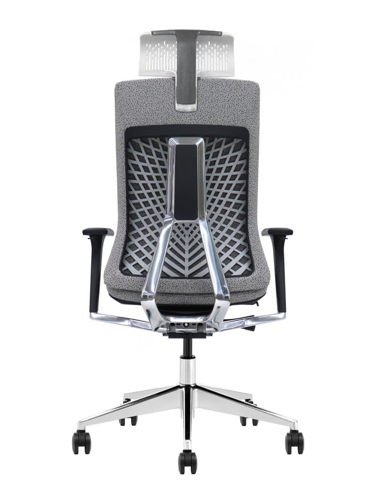 Ergolux Pro Ergonomische Bureaustoel Met Premium Ondersteuning