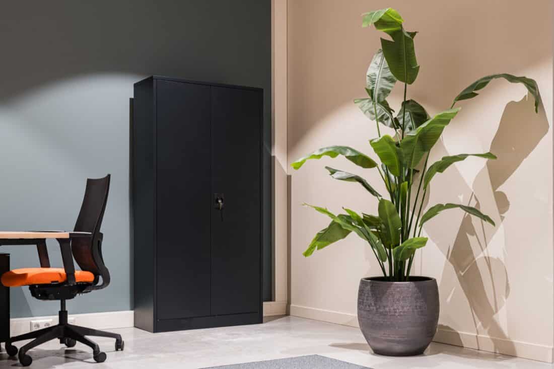 Demontabele Stalen Draaideurkast Afsluitbaar 185x90x40 Cm