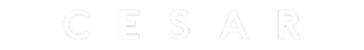 Portfolio Portfolio