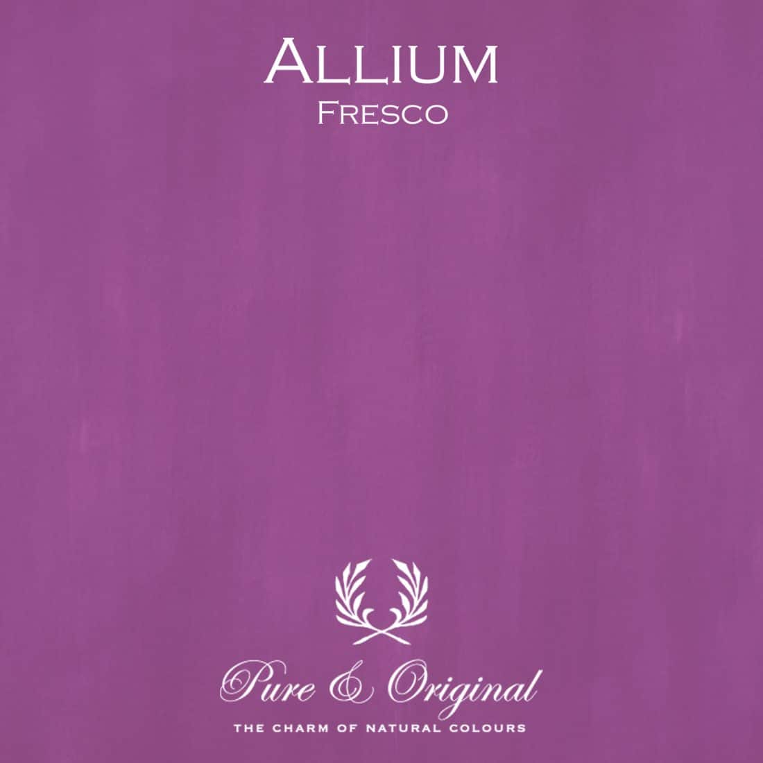 Allium Fresco Lime Paint Pure Original