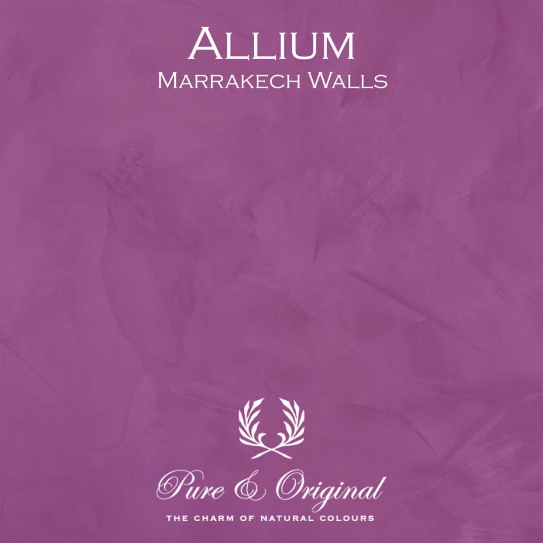 Allium Marrakech Walls Pure Original