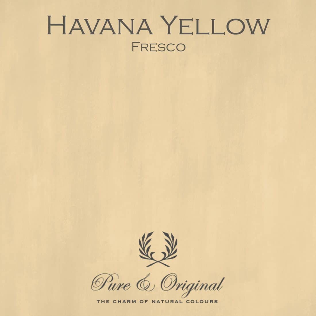 Havana Yellow Fresco Lime Paint Pure Original