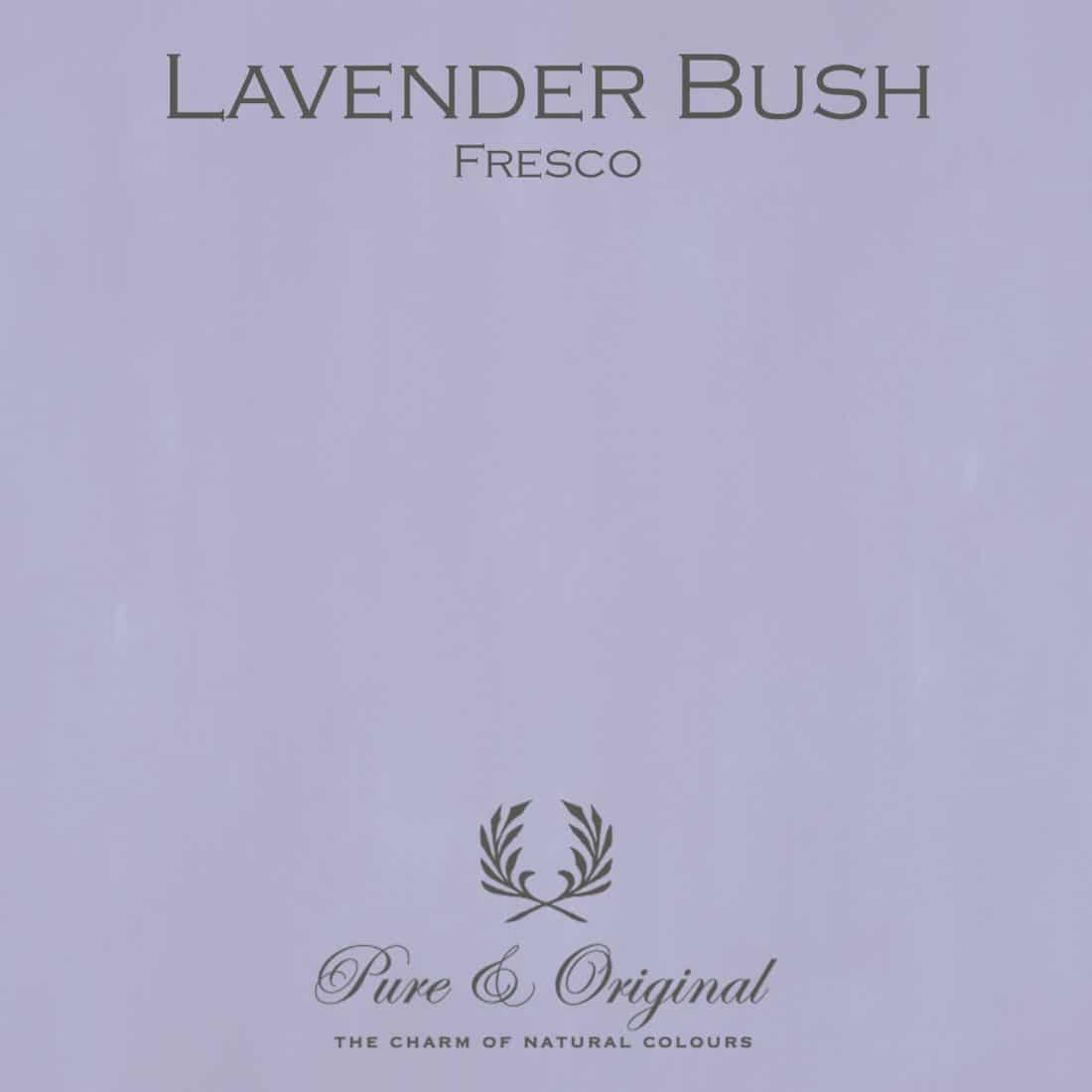 Lavender Bush Fresco Lime Paint Pure Original