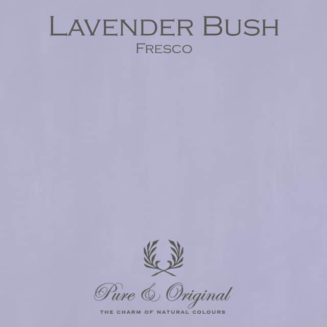 Lavender Bush Fresco Lime Paint Pure Original