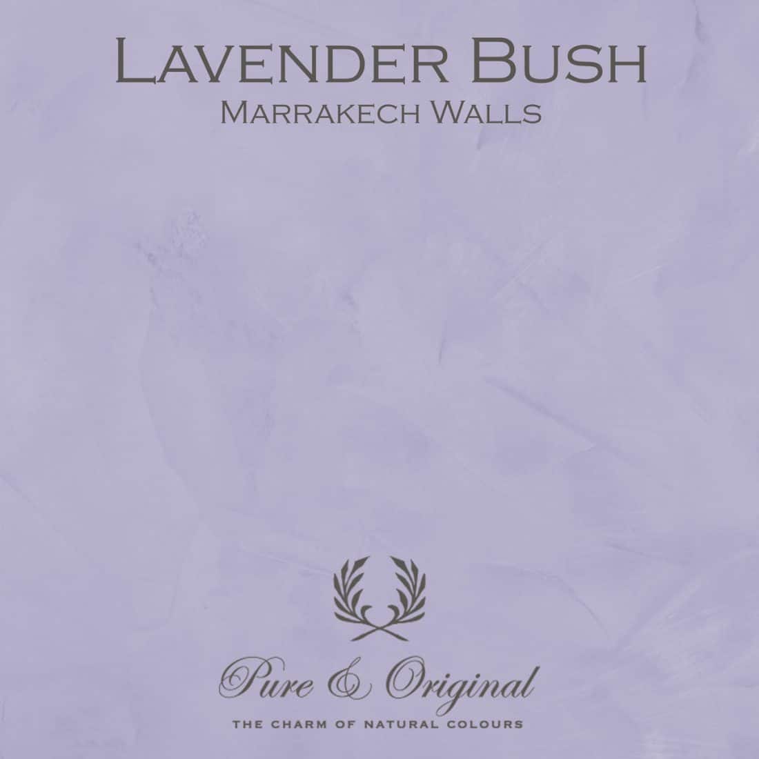 Lavender Bush Marrakech Walls Pure Original