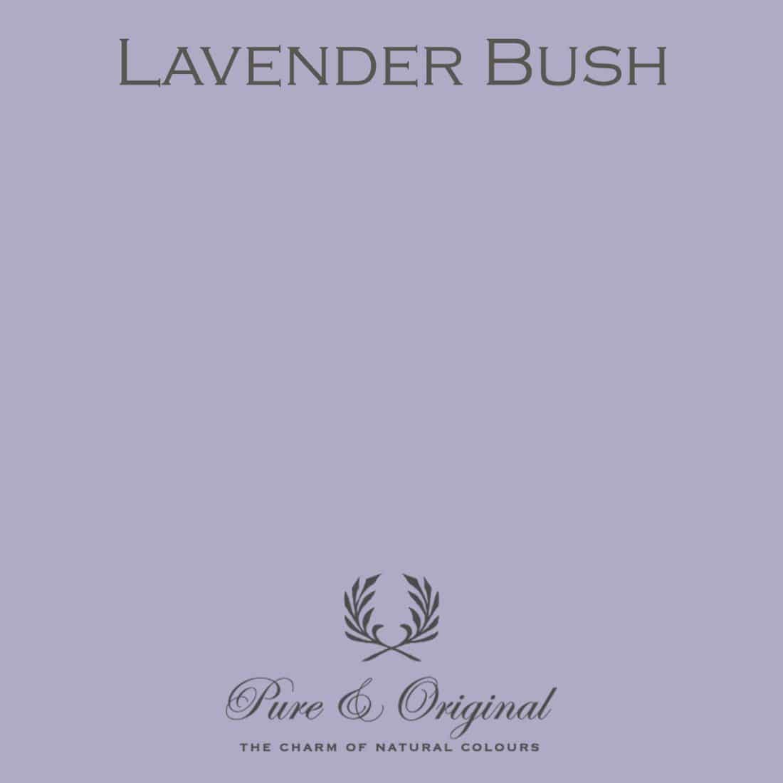 Lavender Bush Na Pure Original