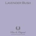 Lavender Bush Na Pure Original