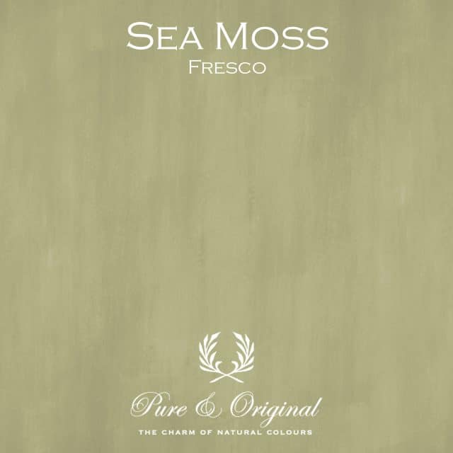 Sea Moss Fresco Lime Paint Pure Original