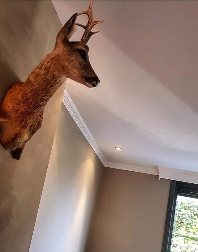 Plafond Sierlijst B 12161