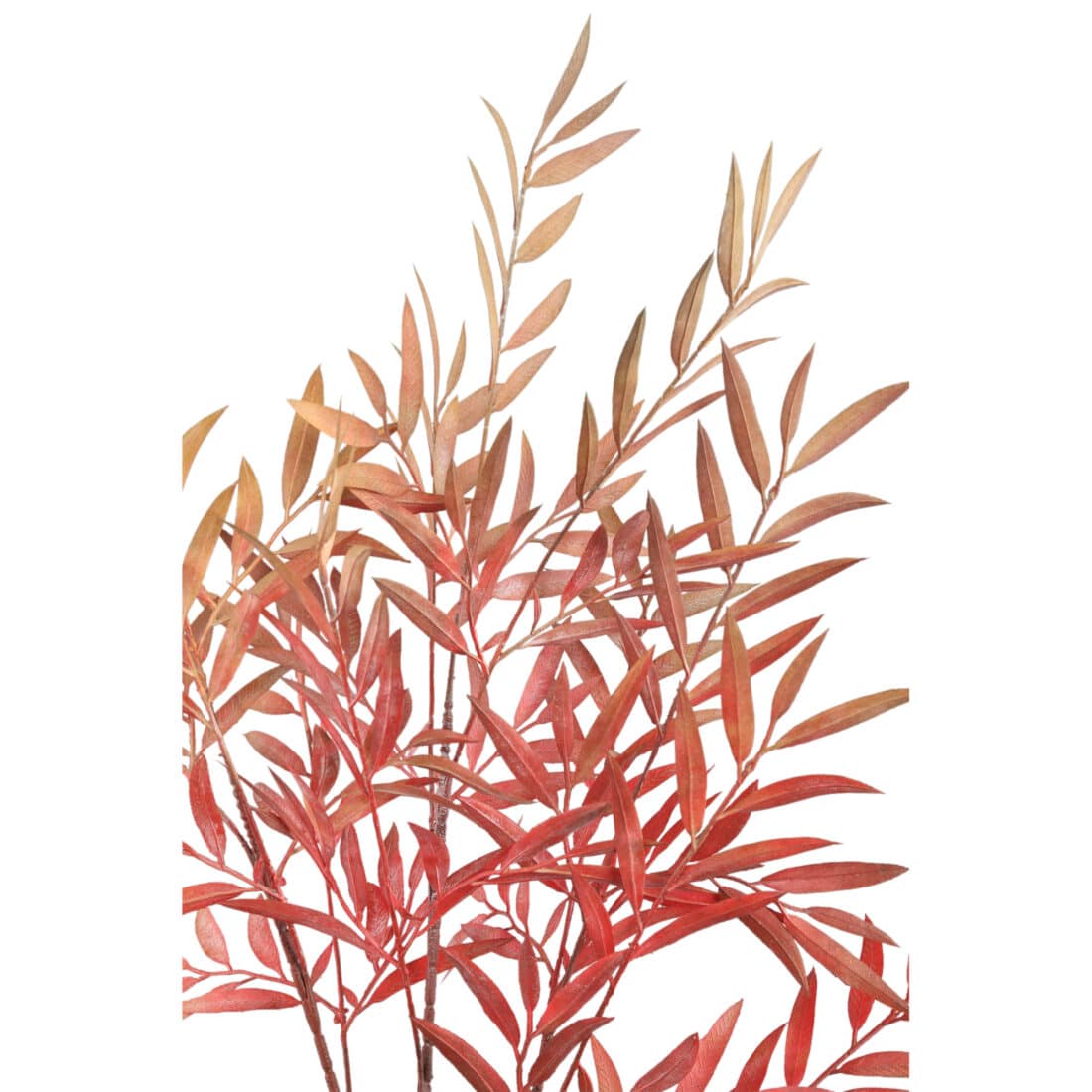 Ptmd Chelsean Bronze Vaas S