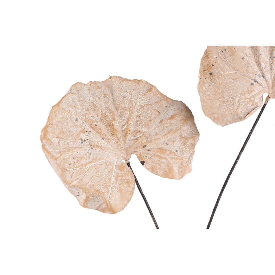 Ptmd Chelsean Bronze Vaas S