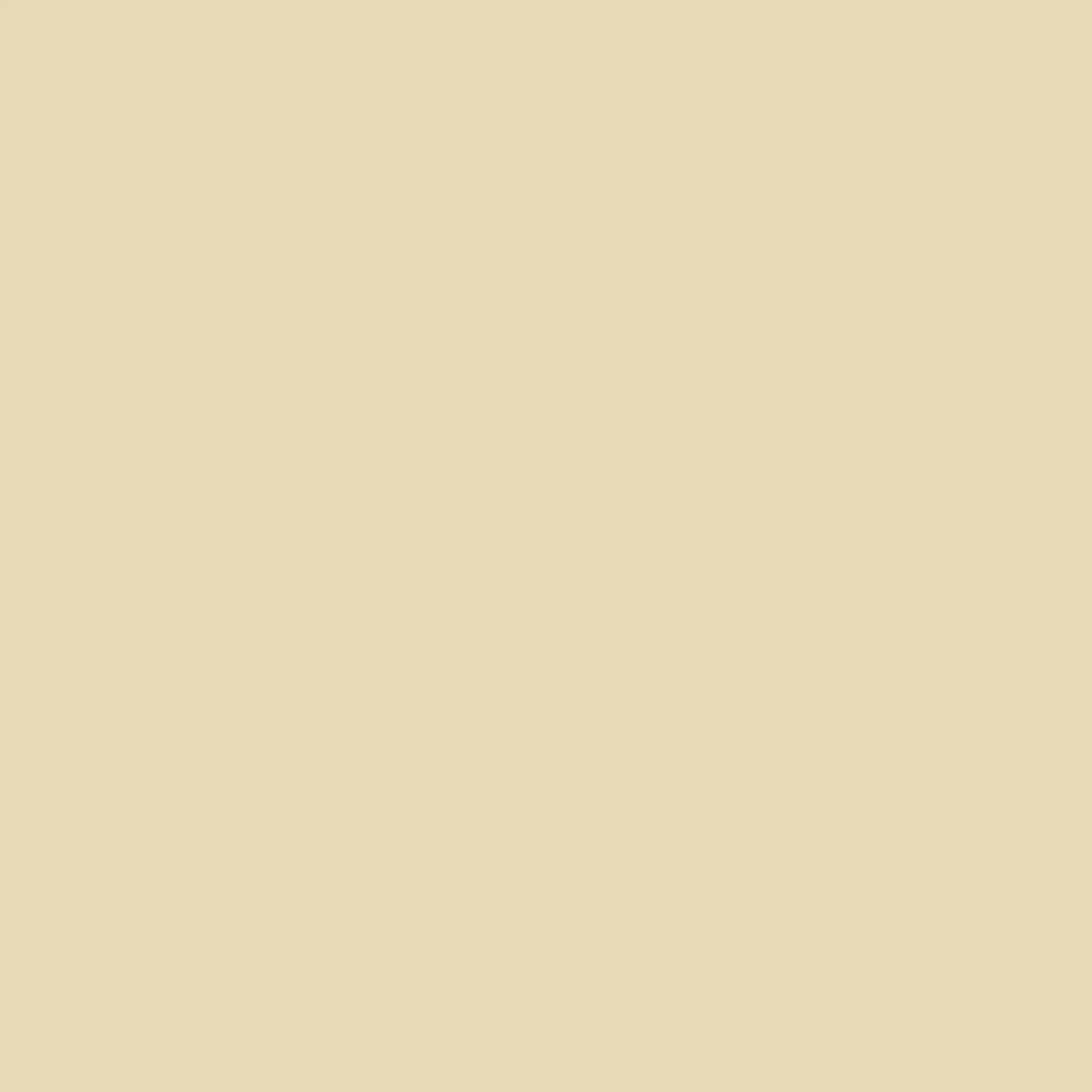 Gentle Olive 1