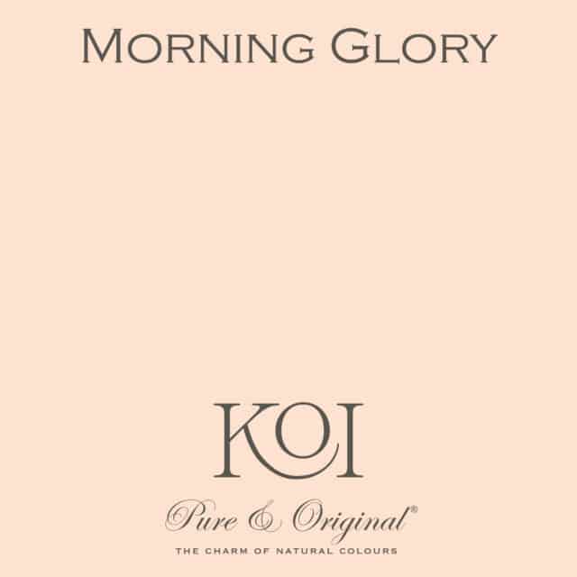 0morning Glory Scaled