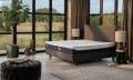 Tempur Arc Bed