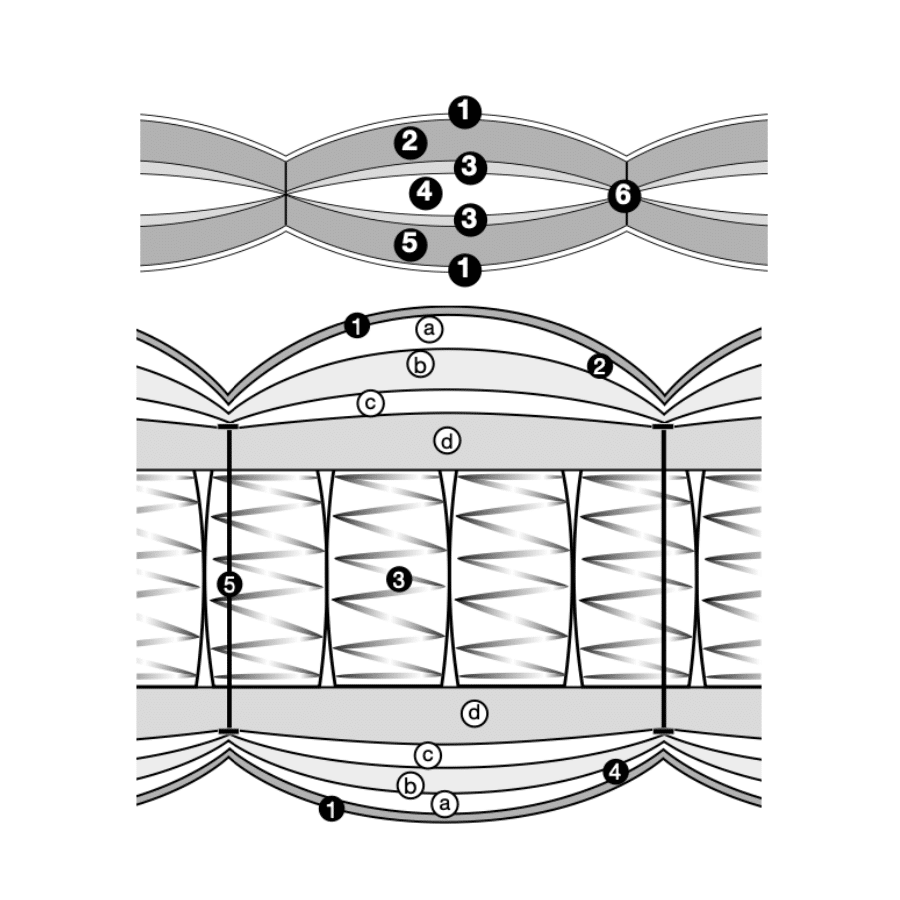 Treca Imprial Symbiose Prestige Matras