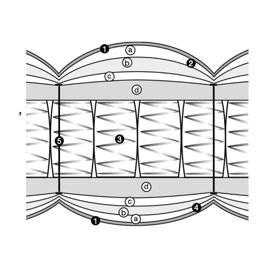 Treca Imprial Symbiose Prestige Matras Treca Imprial Symbiose Prestige Matras