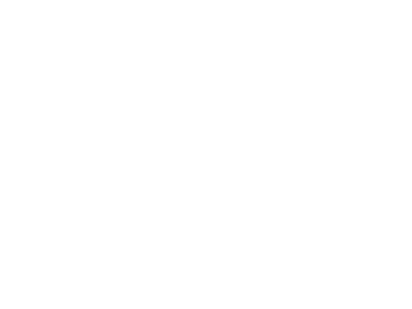 Bosch Wit