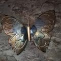 Metaal Vlinder Blauw Goud 1425 5