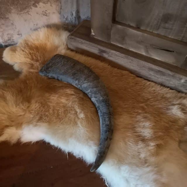 Ramshoorn