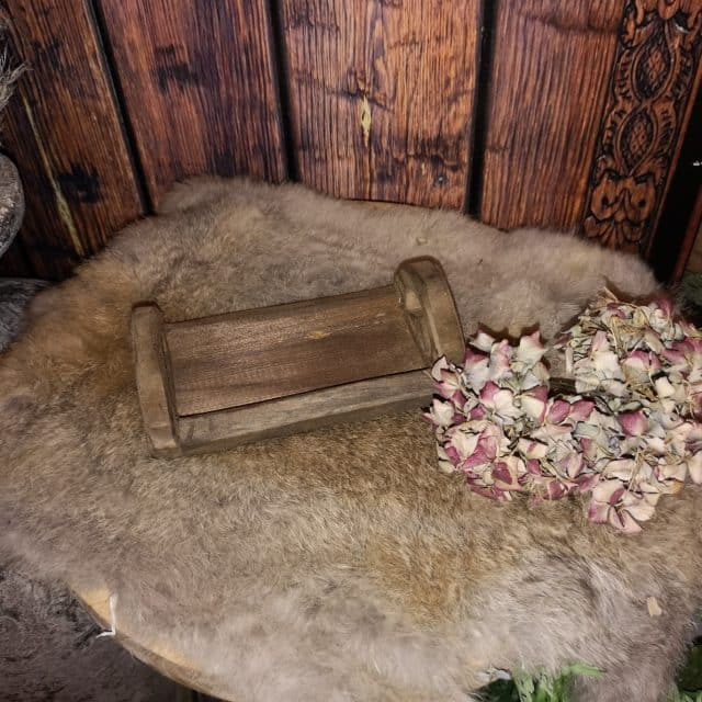 Kleine Houten Tray Voor Amber