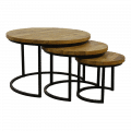 Salontafel Arend set van 3 mangohout