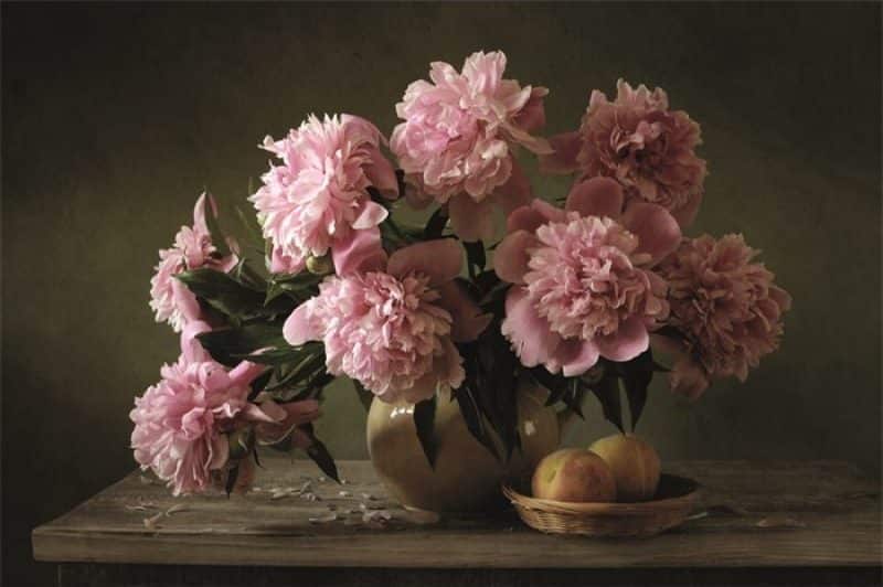 Schilderij Still life of pink peonies DIB1290 AluArt