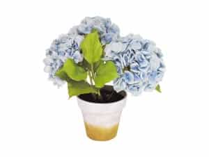 Plantentrio in pot 48 cm HYDRANGEA blauw