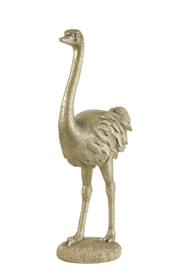 Ornament 31x18,5x66 cm Ostrich licht goud