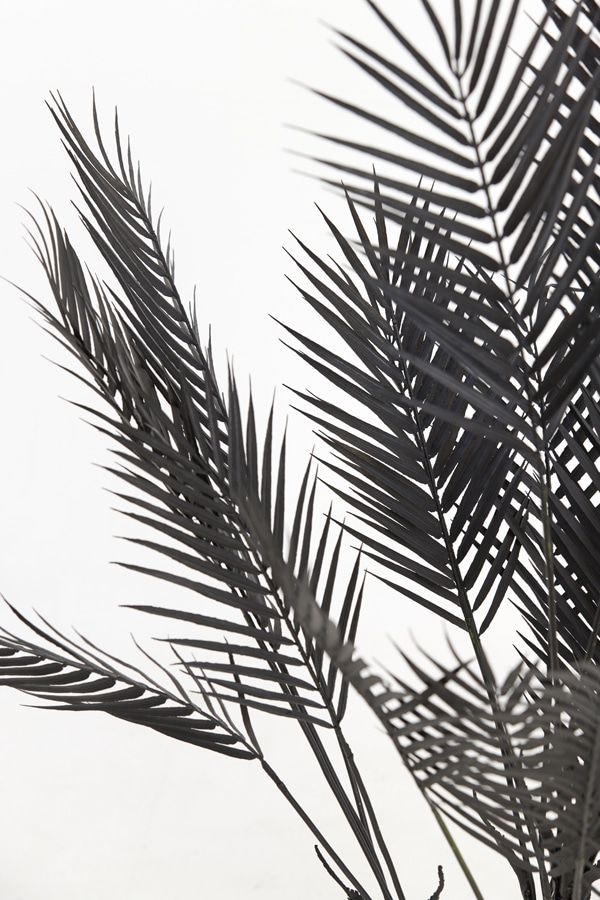 Ornament in pot Ø115x160 cm Palmtree mat zwart