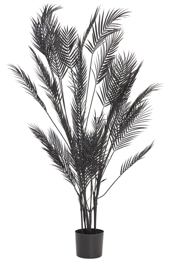 Ornament in pot Ø115x160 cm Palmtree mat zwart