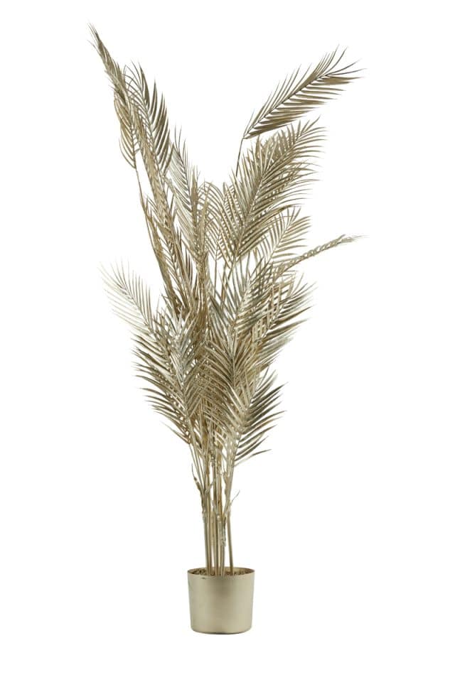 Ornament in pot Ø115x160 cm Palmtree metallic licht goud