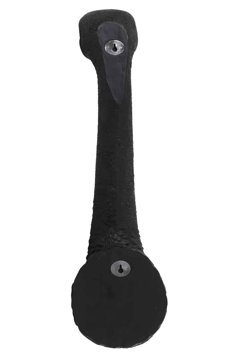 Wandlamp 25x19x72 cm Ostrich mat zwart