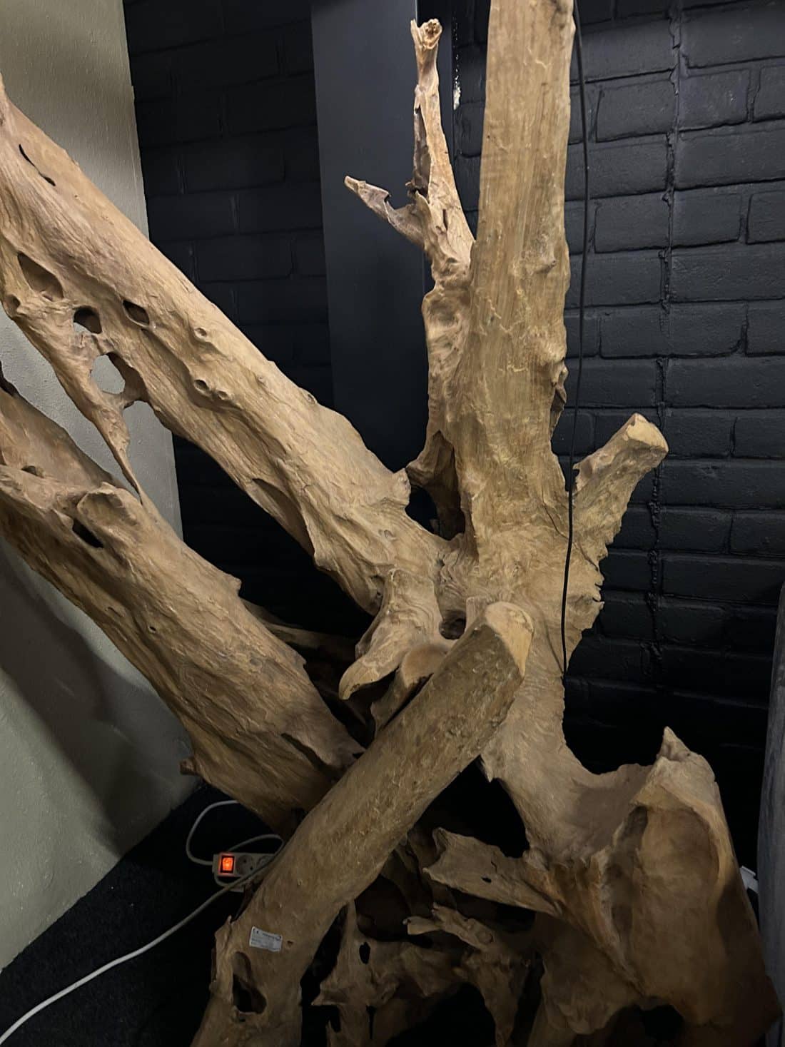 SHOWMODEL Vloerlamp Mangrove hout met witte ronde kap