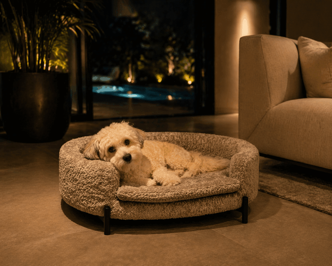 Richmond Interiors huisdierenbed Dolly nature sheep