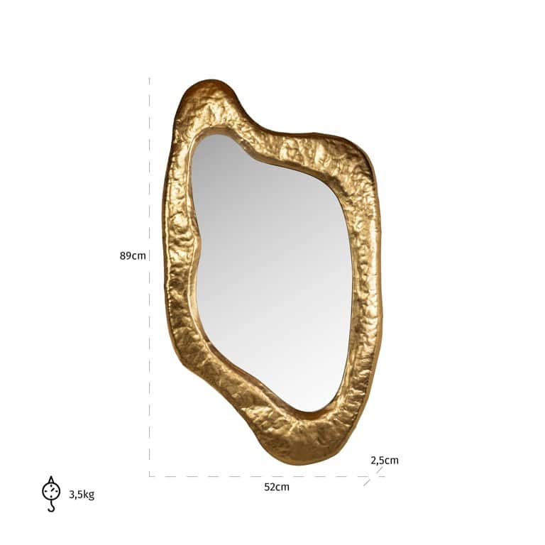 Richmond Interiors spiegel Blinne 52x2,5x89 cm goud