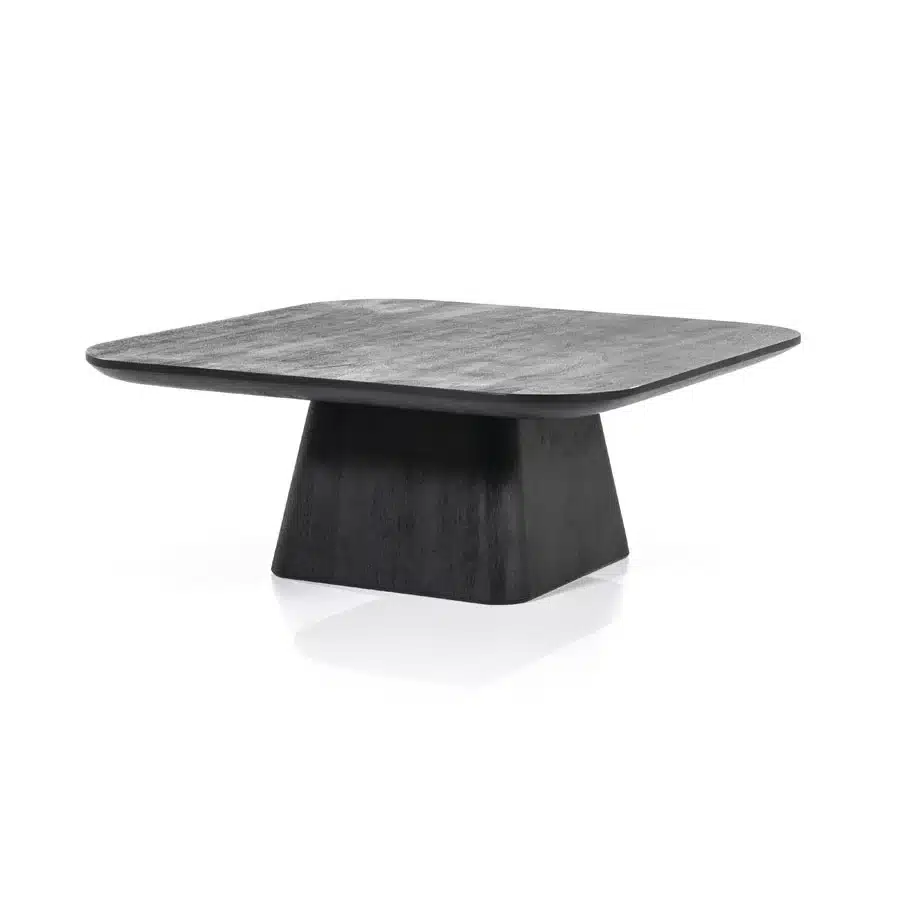 Eleonora salontafel Aron 80x80x32 cm vierkant mangohout zwart