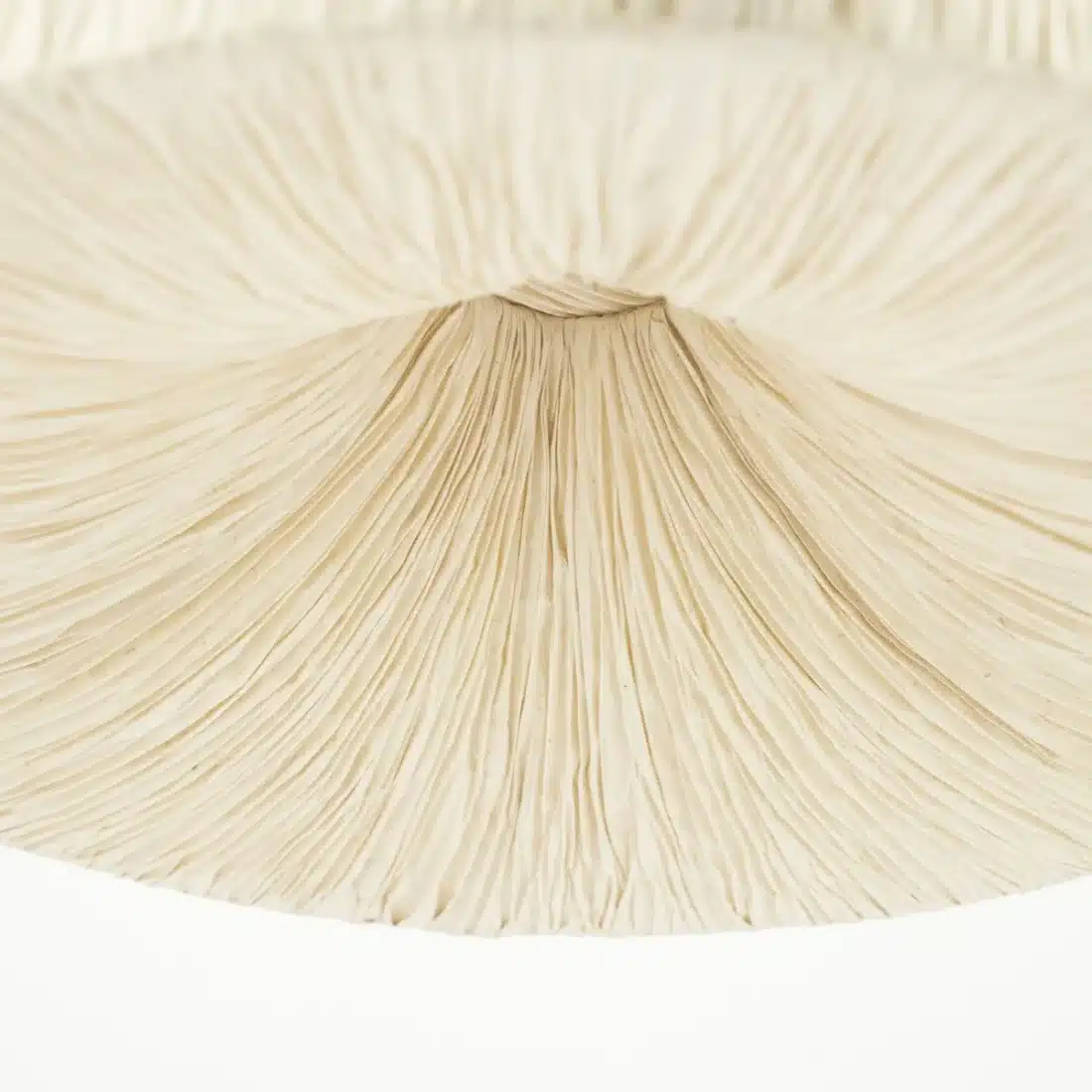 Detailfoto By-Boo hanglamp Ø43,5x24,5 cm Lokta 1