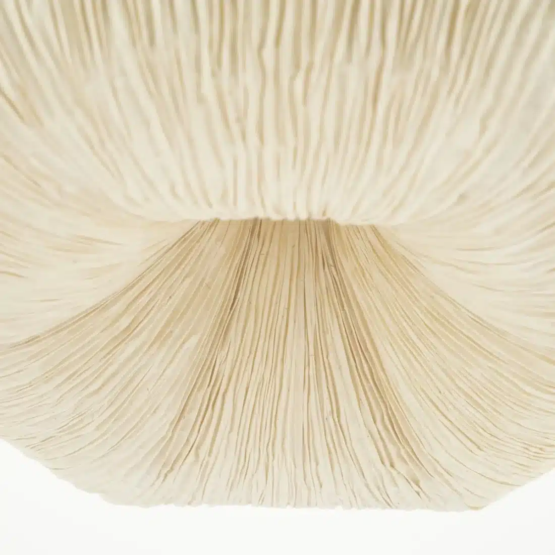detailfoto By-Boo hanglamp Ø49x35 cm Lokta 3
