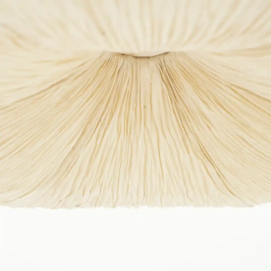detailfoto By-Boo hanglamp Ø62,5x19,5 cm Lokta 2
