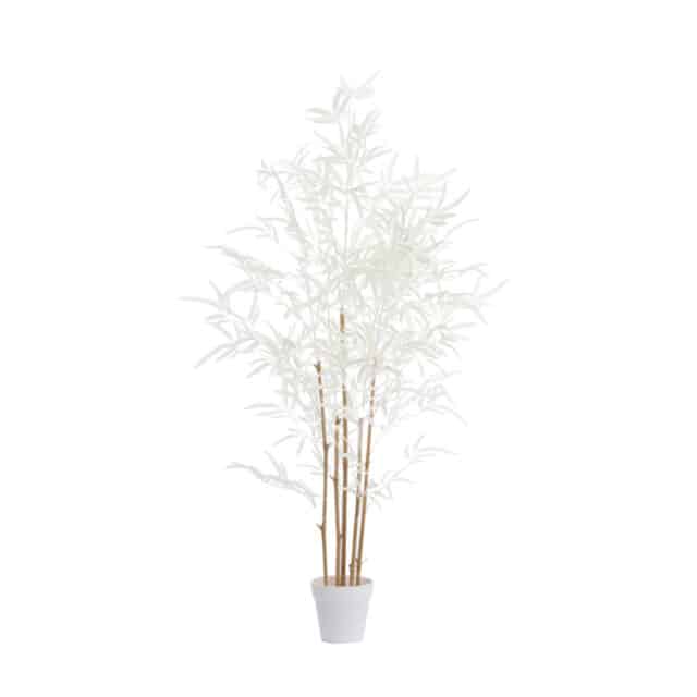 Light & Living ornament in pot 60x70x120 cm bamboo naturel+crème