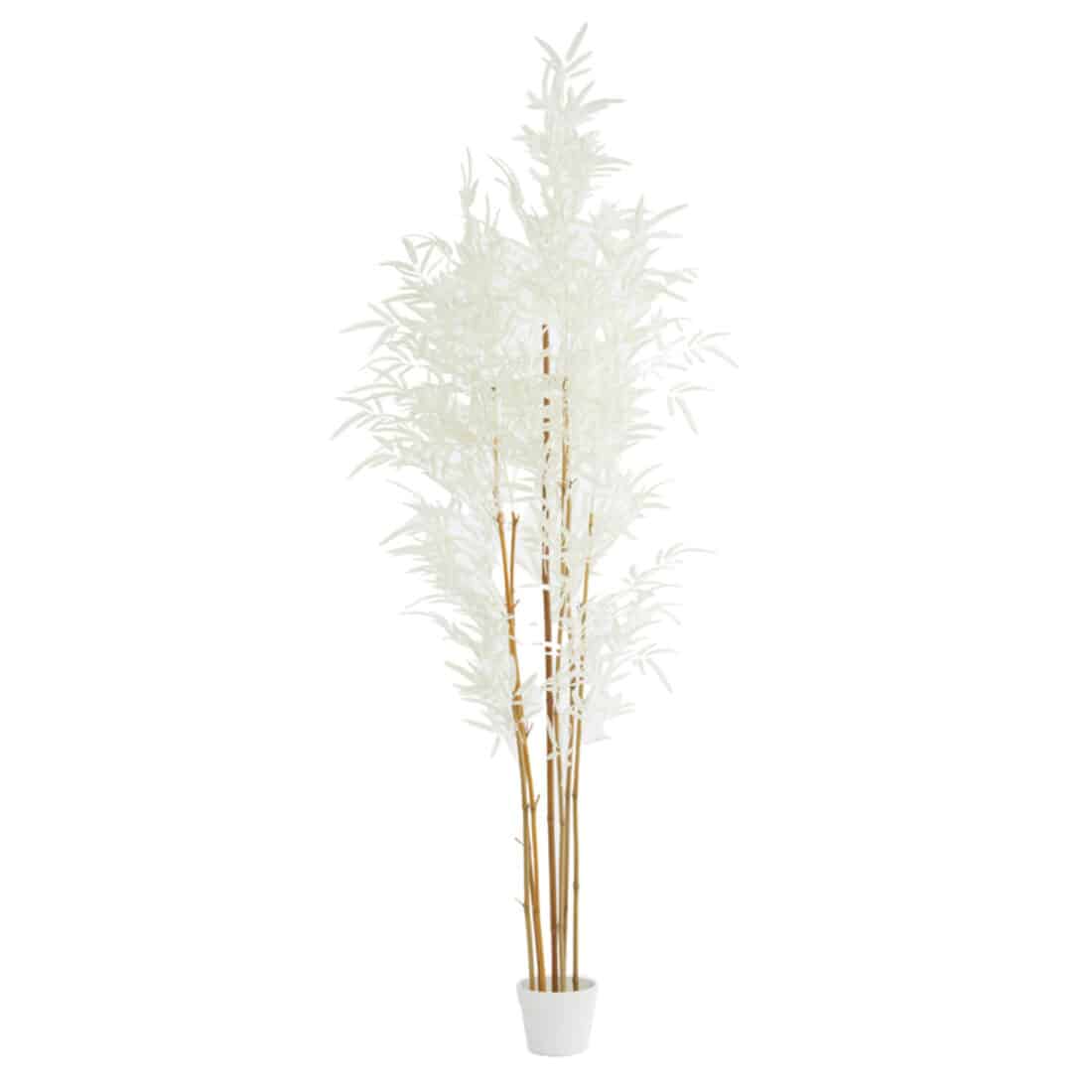 Light&Living ornament in pot 60x70x180 cm bamboo naturel+crème